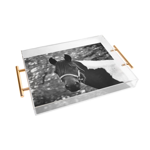 Allyson Johnson Horse Portrait Acrylic Tray
