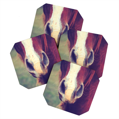 Allyson Johnson Horse Sense 1 Coaster Set