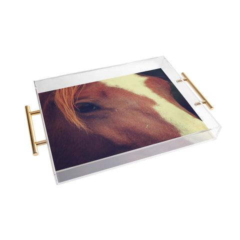 Allyson Johnson Horse Sense 2 Acrylic Tray