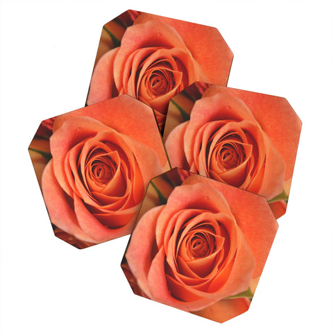 Allyson Johnson Orange Rose Bud Coaster Set