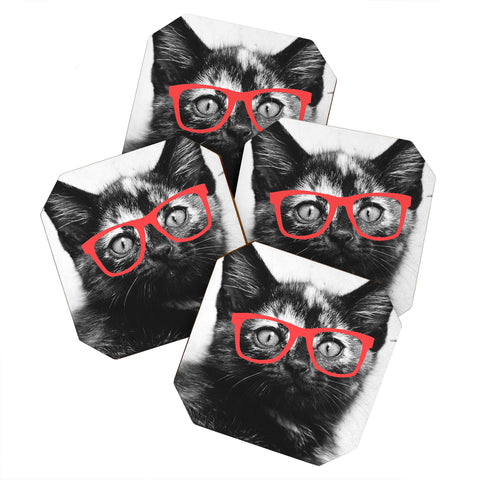 Allyson Johnson Sassy Kitten Coaster Set