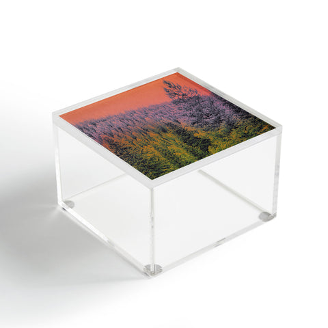 Amber Lauder A New Perspective Acrylic Box