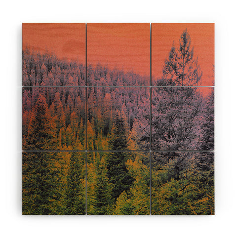 Amber Lauder A New Perspective Wood Wall Mural
