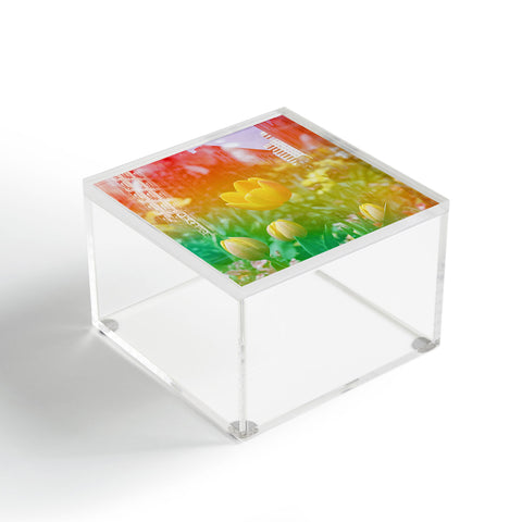 Amber Lauder Center of the Universe NYC Acrylic Box