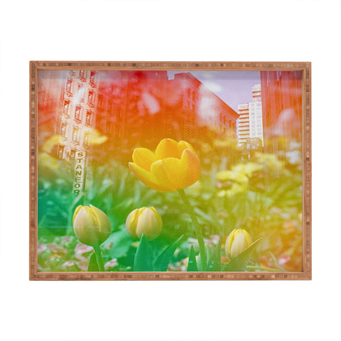 Amber Lauder Center of the Universe NYC Rectangular Tray