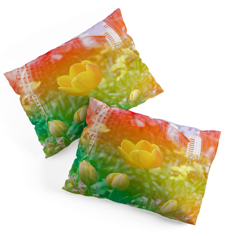 Amber Lauder Center of the Universe NYC Pillow Shams