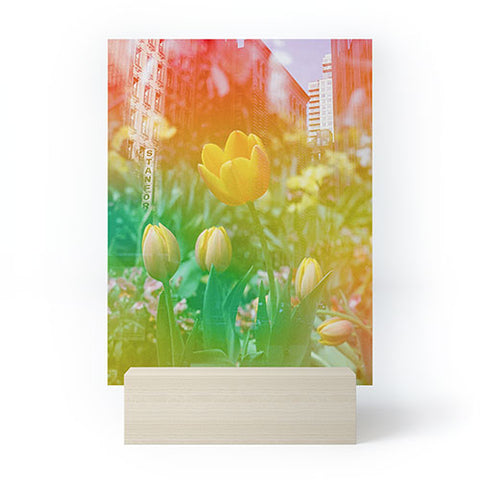 Amber Lauder Center of the Universe NYC Mini Art Print