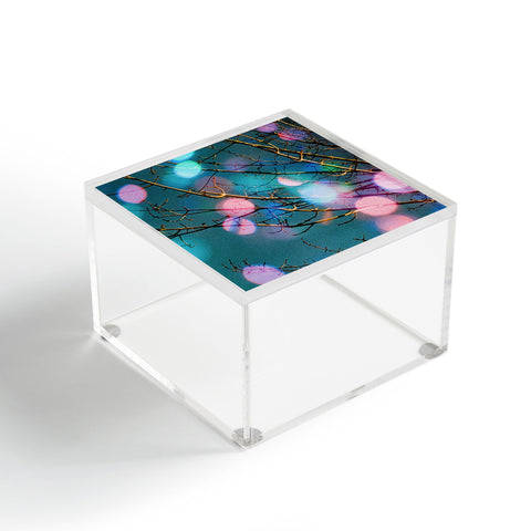Amber Lauder Contradiction Acrylic Box