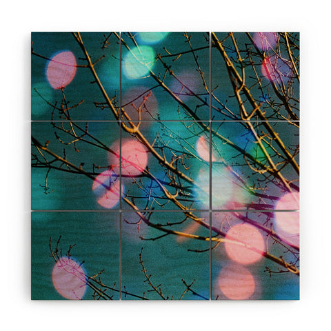 Amber Lauder Contradiction Wood Wall Mural