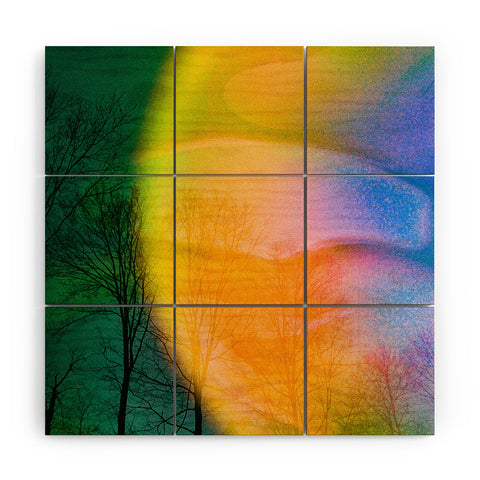 Amber Lauder Euphoric Wood Wall Mural