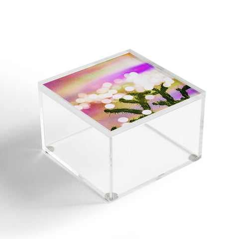 Amber Lauder Stuff of Dreams Acrylic Box