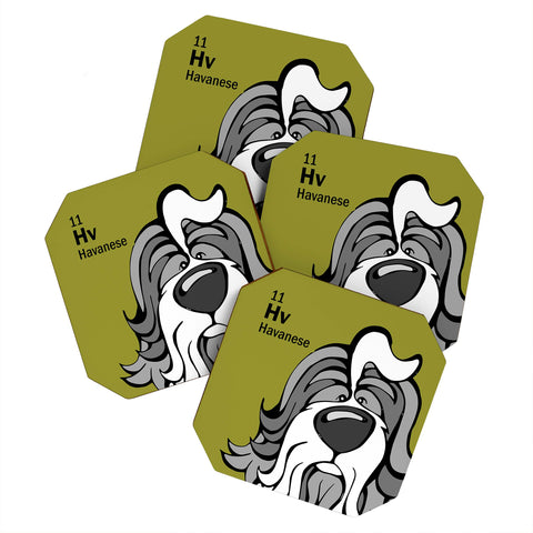 Angry Squirrel Studio Havanese 11 Coaster Set