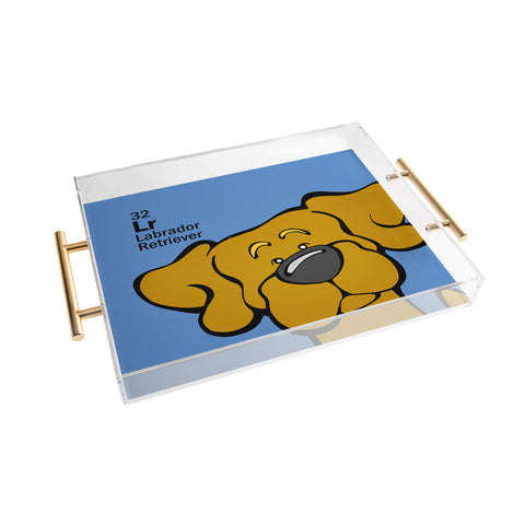 Angry Squirrel Studio Lab 32 Acrylic Tray