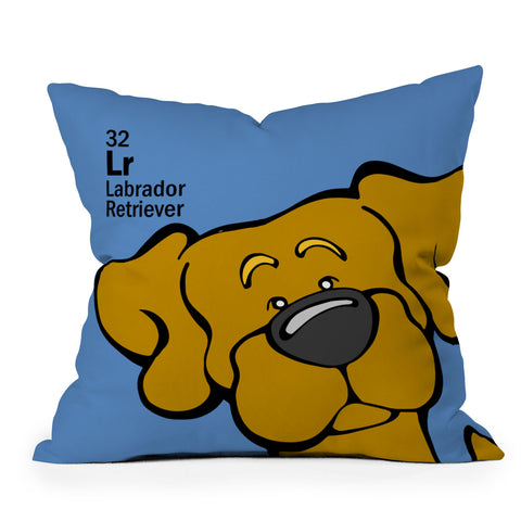 Angry Squirrel Studio Lab 32 Outdoor Throw Pillow