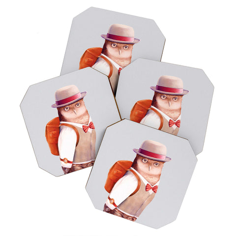 Animal Crew Travel Owl Coaster Set