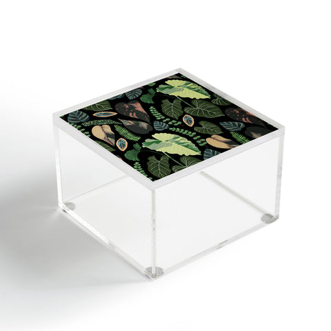 Anis Illustration Black Forest Leaves Acrylic Box