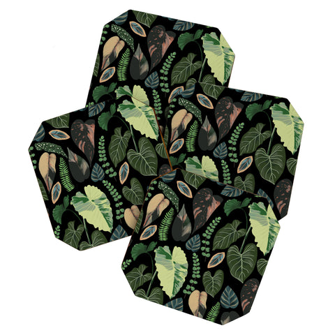 Anis Illustration Black Forest Leaves Coaster Set