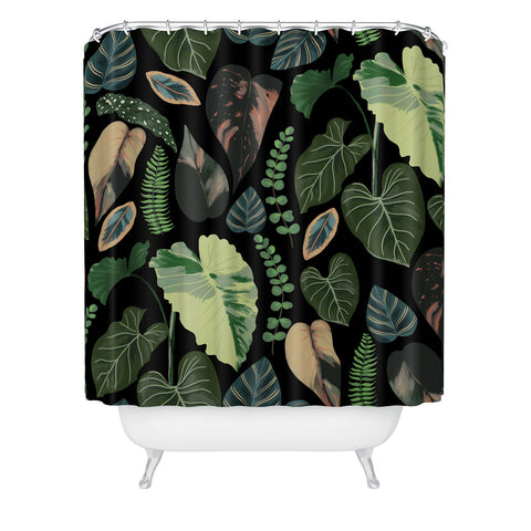 Anis Illustration Black Forest Leaves Shower Curtain