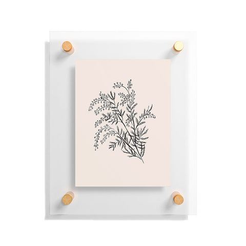 Anis Illustration Minimal Acacia Branch Floating Acrylic Print