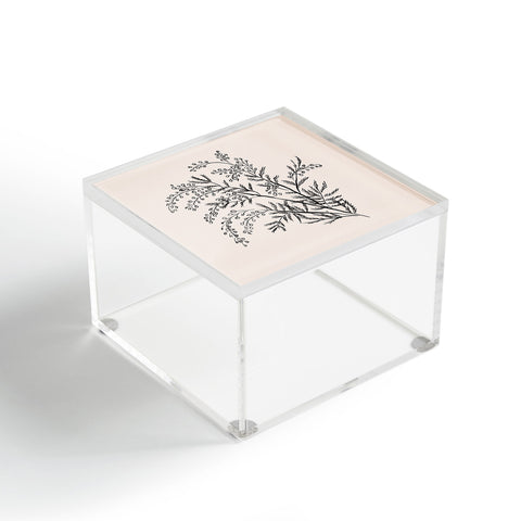 Anis Illustration Minimal Acacia Branch Acrylic Box