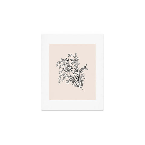 Anis Illustration Minimal Acacia Branch Art Print