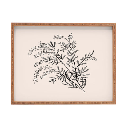 Anis Illustration Minimal Acacia Branch Rectangular Tray