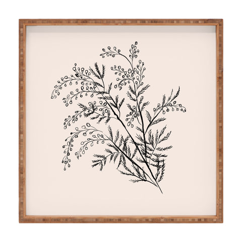 Anis Illustration Minimal Acacia Branch Square Tray