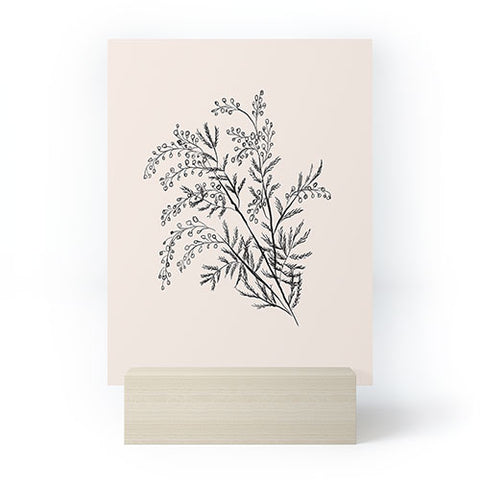 Anis Illustration Minimal Acacia Branch Mini Art Print