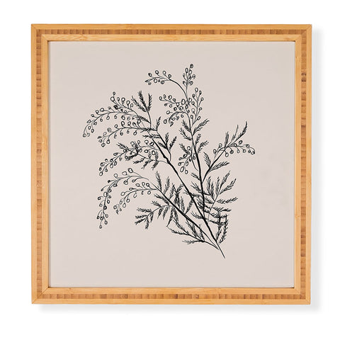 Anis Illustration Minimal Acacia Branch Framed Wall Art