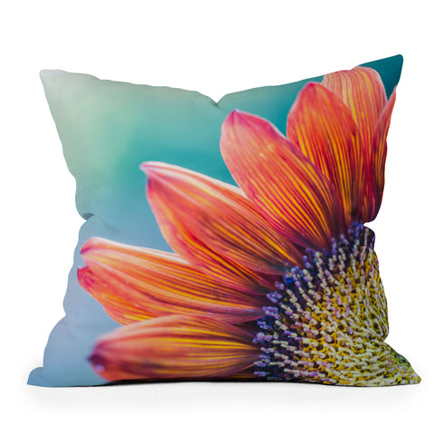Ann Hudec Beautiful Dreamer Outdoor Throw Pillow