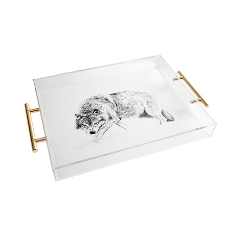 Anna Shell Crouching wolf pencil Acrylic Tray