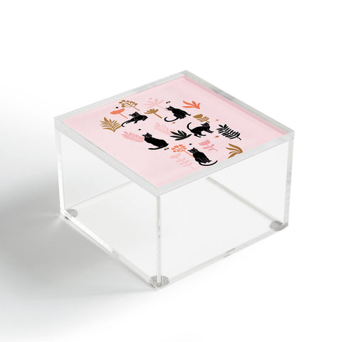 Anneamanda cat garden Acrylic Box