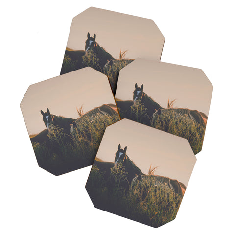 Annie Bailey Ears Coaster Set