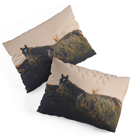 Annie Bailey Ears Pillow Shams