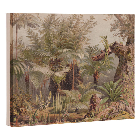 Aster Farne I Tropical Plants Art Canvas
