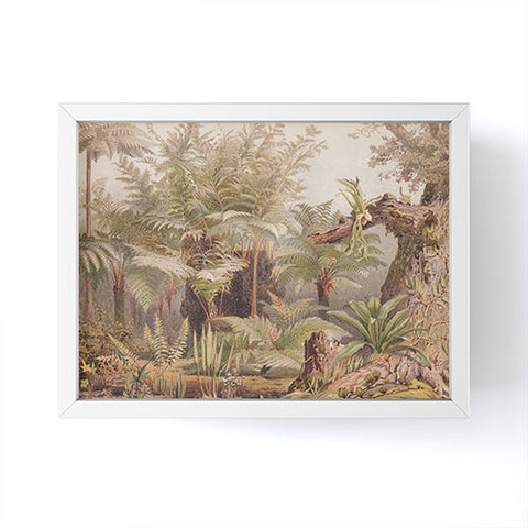 Aster Farne I Tropical Plants Framed Mini Art Print
