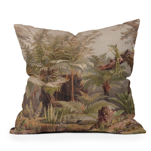 Aster Farne I Tropical Plants Outdoor Throw Pillow