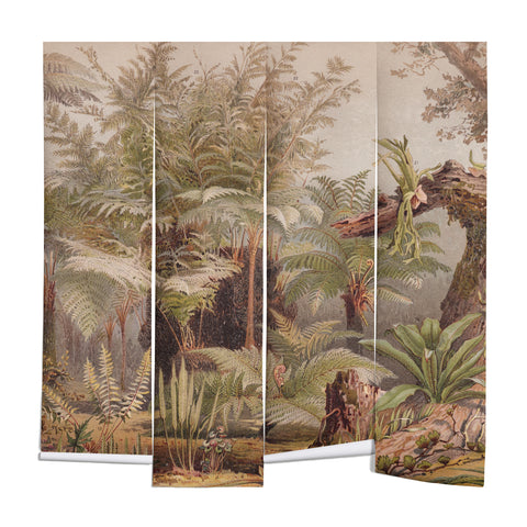 Aster Farne I Tropical Plants Wall Mural