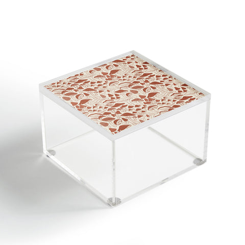 Avenie Mushrooms In Terracotta Acrylic Box