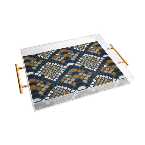 Avenie Snake Skin Python Acrylic Tray