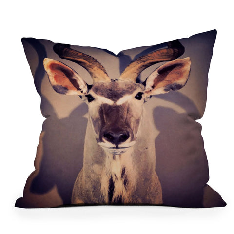 Ballack Art House Africa Outdoor Throw Pillow