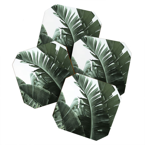 Ballack Art House Jungle Boogie Coaster Set