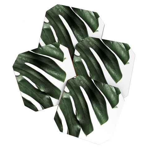 Ballack Art House Panama taste Coaster Set