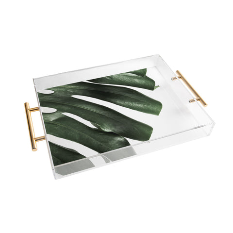 Ballack Art House Panama taste Acrylic Tray