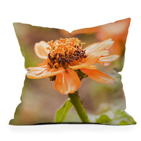 Barbara Sherman Beauty Outdoor Throw Pillow