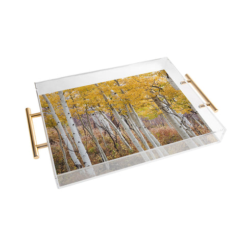 Barbara Sherman Golden Aspens Acrylic Tray