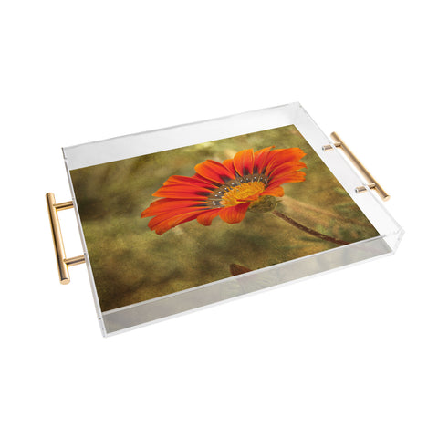Barbara Sherman Orange Glory Acrylic Tray