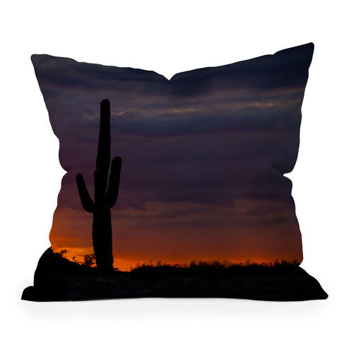 Barbara Sherman Saguaro Sunset Outdoor Throw Pillow