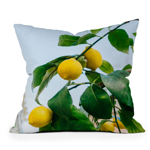 Bethany Young Photography Amalfi Coast Lemons III Outdoor Throw Pillow
