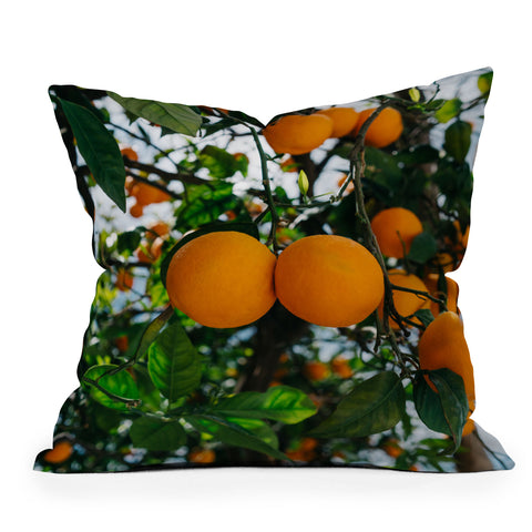 Bethany Young Photography Amalfi Coast Oranges III Outdoor Throw Pillow